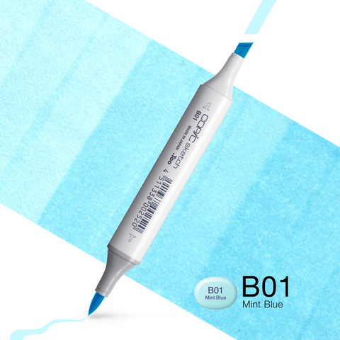 Copic sketch marker B01