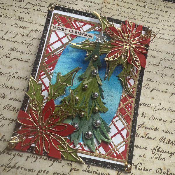 CMSS August 2025 Replay