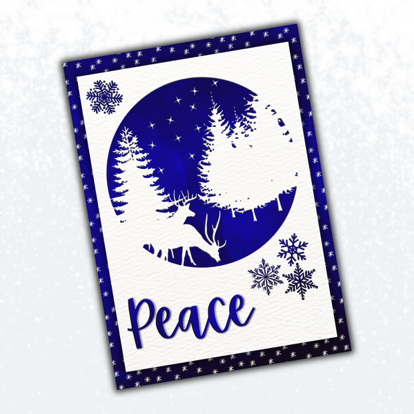 CMSS August 2025 Replay