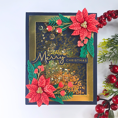 CMSS August 2025 Replay