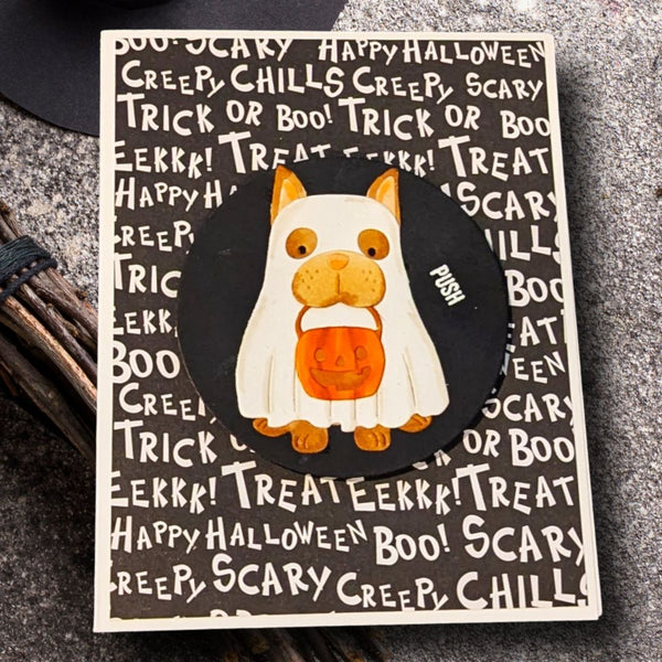 CMSS March 2025 (Year Round Occasions)