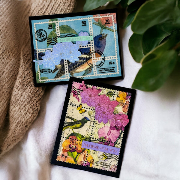 CMSS March 2025 (Year Round Occasions)