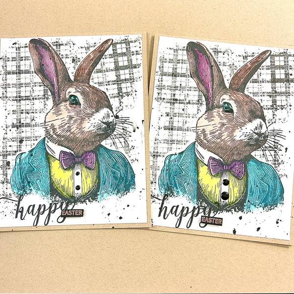 CMSS March 2025 (Year Round Occasions)