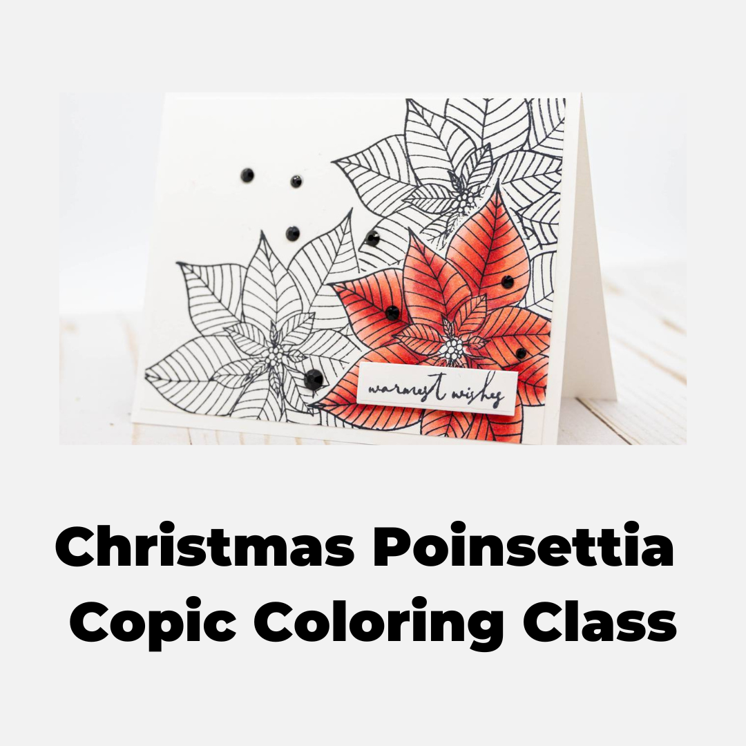 Copic Coloring Christmas Card - Poinsettia
