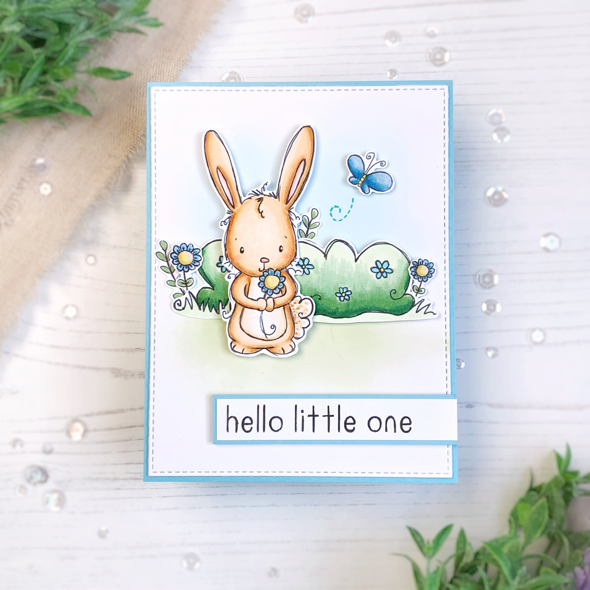 CMSS Fan Faves Nov 2023