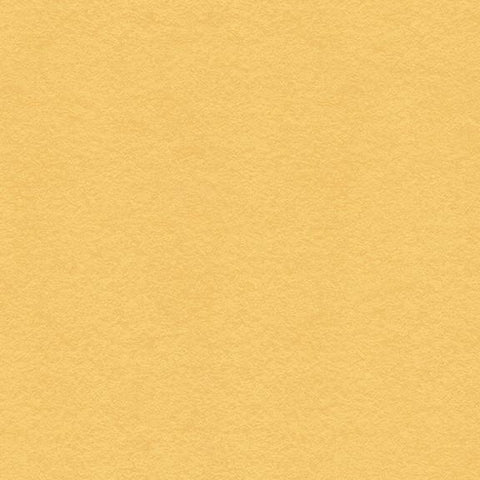My Colors Cardstock - 8.5" x 11" - Wildflower Honey