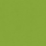 My Colors Cardstock - 8.5" x 11" - Crisp Green
